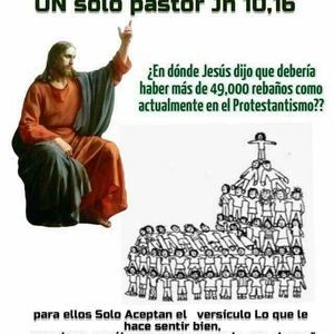 Meet your Posher, Fernando